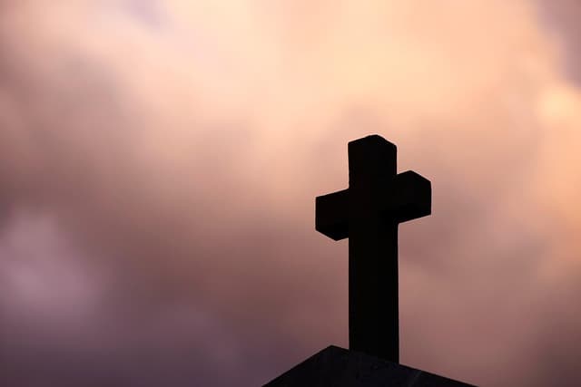 Jak wybrać najlepszą zmywarkę do swojego domu? Poradnik